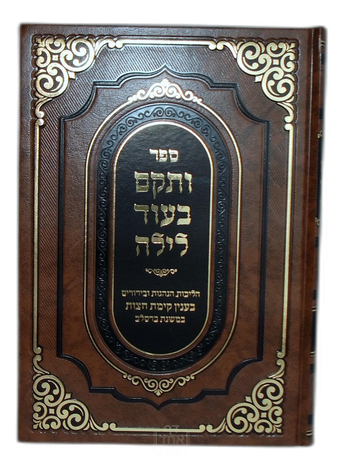 ותקם בעוד לילה